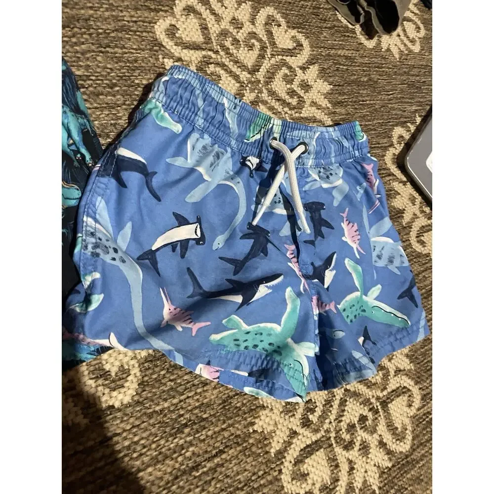 Carter's‎ Boys Dinosaur/ Shark Print Swim 4t Blue Elastic Waist Lined